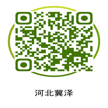 cmp冠军